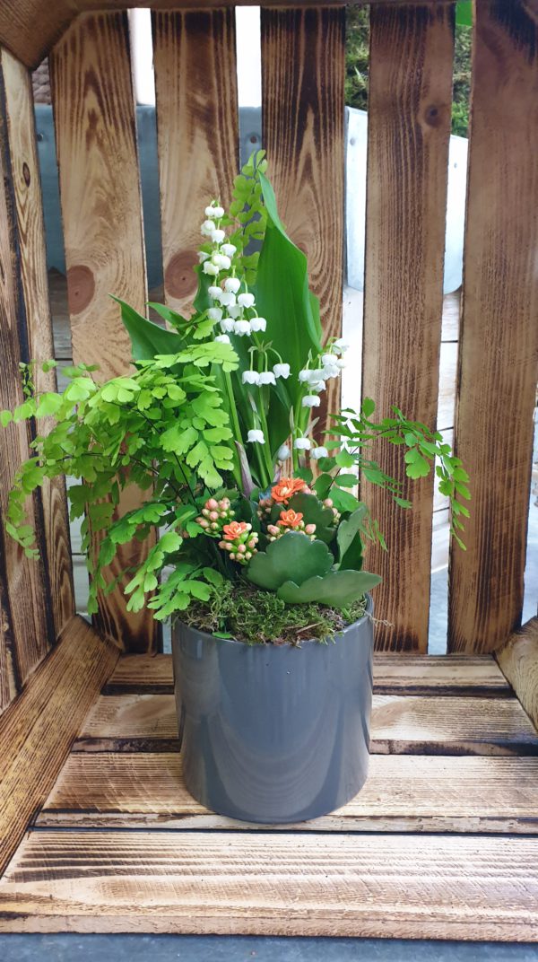 Muguet Composition de Muguet Pot couleur ou Cache pot Sac