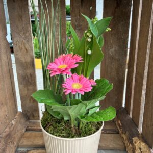 Compo Muguet 2026 cache pot zinc ROUBAUD JARDINERIE