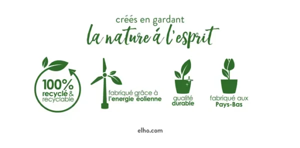 Green Basics Orchidée soucoupe transparent – Image 2