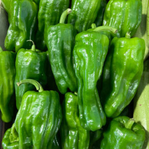 Poivron Petit Marseillais en godet