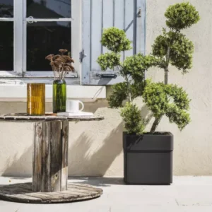 carel pot roulette jardinerie roubaud 13008 marseille plante arbuste