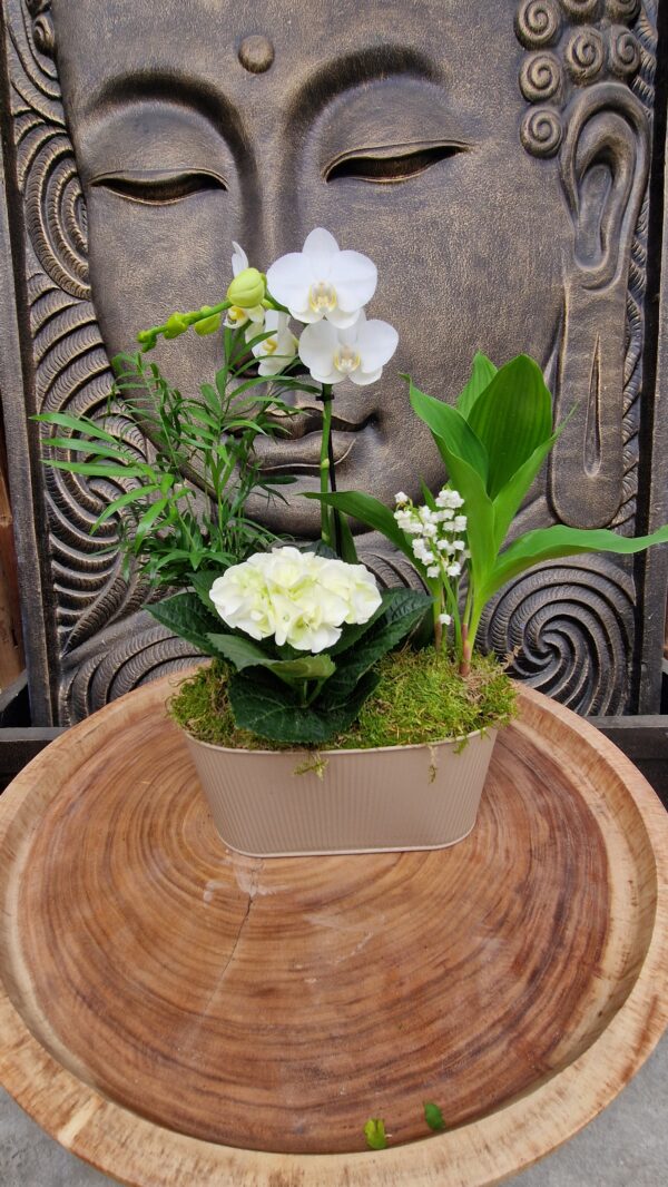 Composition de Muguet avec Hortensia. jardinerie Roubaud 13008 Marseille