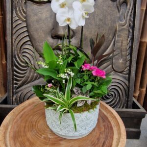 Muguet Composition de Muguet élégance