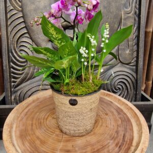 Composition de Muguet dans un cache pot en corde jardinerie Roubaud Marseille 13008