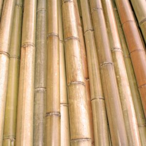 tige-de-bambou-naturel-deco-exterieur-interieur-roubaud-jardinerie-13009-marseille