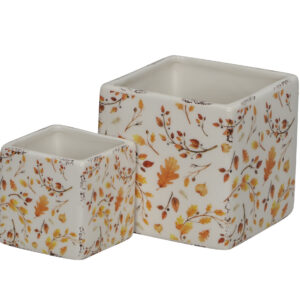 ache-pot-carre-decoration-roubaud-fleuriste-jardinerie-13008-marseille