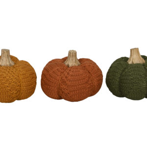 decoration-roubaud-fleuriste-jardinerie-13008-marseille-citrouille-halloween-