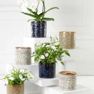 cache-pot-cleopatre-PLANTE-DECO-ROUBAUD-JARDINERIE-13008-MARSEILLE