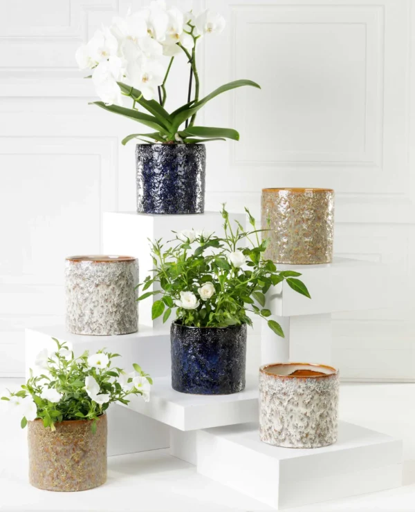 cache-pot-cleopatre-PLANTE-DECO-ROUBAUD-JARDINERIE-13008-MARSEILLE