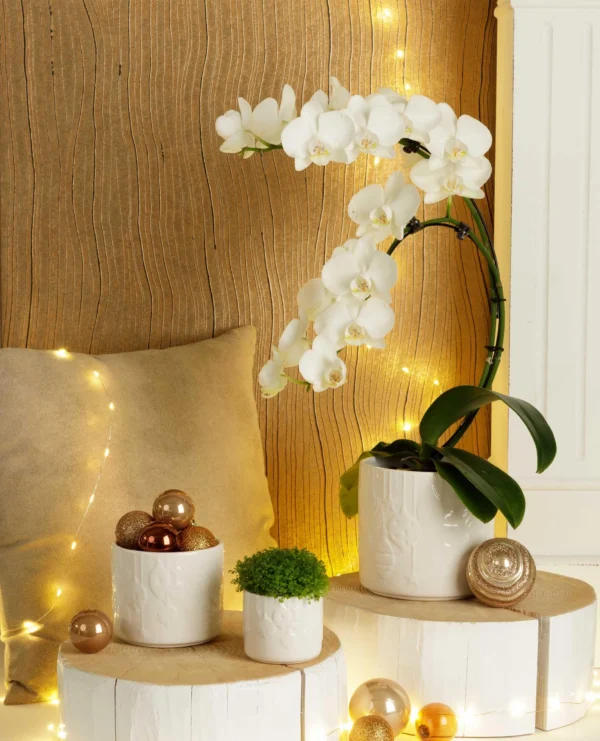 cache-pot-jingle bell deco noel roubaud jardinerie 13008 marseille
