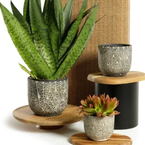 cache-pot-kohiki-PLANTE-TERRE-CUITE-DECO-ROUBAUD-JARDINERIE-13008-MARSEILLE
