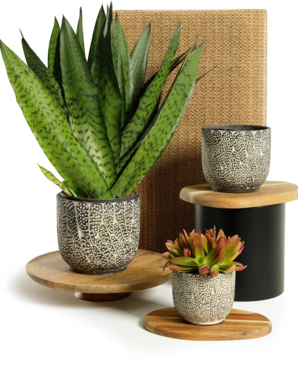 cache-pot-kohiki-PLANTE-TERRE-CUITE-DECO-ROUBAUD-JARDINERIE-13008-MARSEILLE