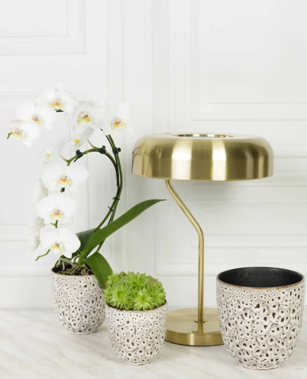 cache-pot-leopard-plante-decoration-roubaud-jardinerie-13008-marseille