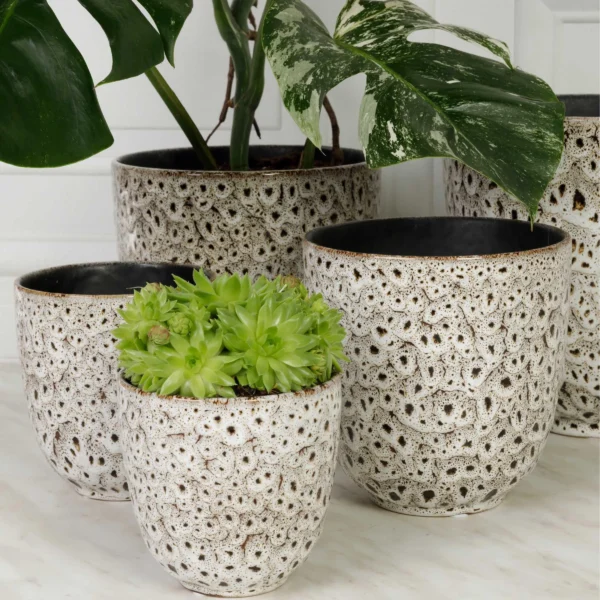 cache-pot-leopard-plante-decoration-roubaud-jardinerie-13008-marseille