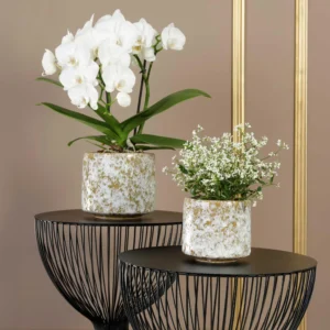 cache-pot-mountain-PLANTE-DECO-NATURE-ROUBAUD-JARDINERIE-13008-MARSEILLE