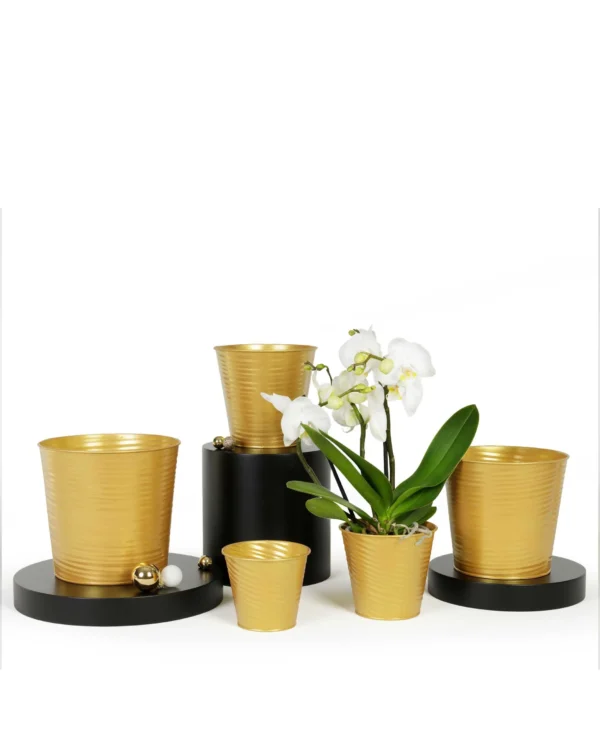 cache-pot-zinc-wave-or-plante-roubaud-jardinerie-13008-marseille