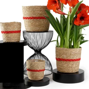panier-cache-pot-naturel-tresse-rouge-tressia-jardineire-roubaud-plante-13008-marseille