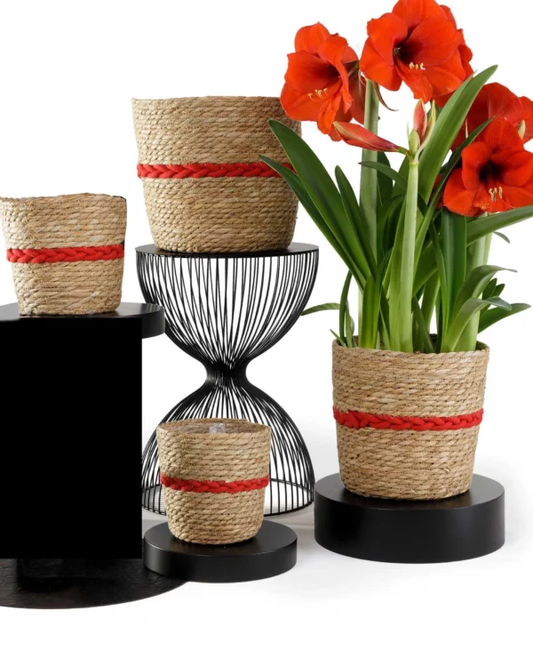 panier-cache-pot-naturel-tresse-rouge-tressia-jardineire-roubaud-plante-13008-marseille