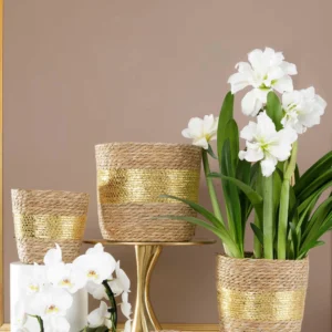 panier-oria-NOEL-CACHE-POT-NATUREL-ET-OR-PLANTE-DECORATION-ROUBAUD-JARDINERIE-13008-MARSEILLE