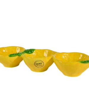 TAPAS VAISSELLE-CITRON-JARDINERIE-ROUBAUD-13008-MARSEILLE