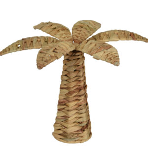 PALMIER-JACINTHE-D-EAU-DECO-JARDINERIE-ROUBAUD-13008-MARSEILLE