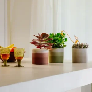 colour-gradient-plastique-recycle-bambou-plantation-jardinerie-roubaud-13008-marseille