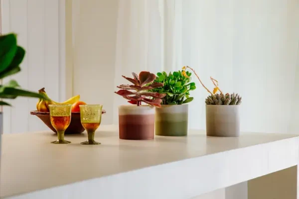 colour-gradient-plastique-recycle-bambou-plantation-jardinerie-roubaud-13008-marseille