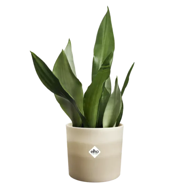 colour-gradient-plastique-recycle-beige-gres-plantation-jardinerie-roubaud-13008-marseille