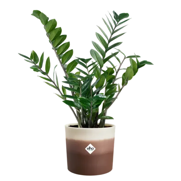 colour-gradient-plastique-recycle-marron-plantation-jardinerie-roubaud-13008-marseille