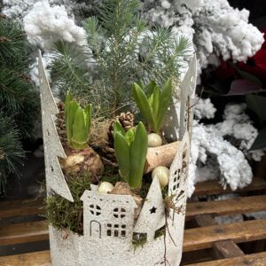 COMPOSITION-DE-NOEL-JARDINIERE-JACINTHES-SAPIN-CADEAU-ROUBAUD-JARDINERIE-13008-MARSEILLE