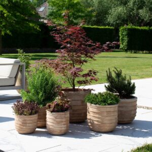 39MPA07-ANTERRA-ROUBAUD-JARDINERIE-13008-MARSEILLE-POTERIE-TERRE-CUITE
