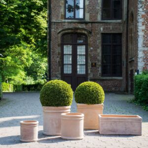 39MPM51-ROUBAUD-JARDINERIE-13008-MARSEILLE-POTERIE-TERRE-CUITE-MTERRA