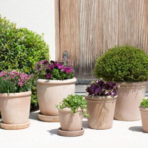 39MPM84_1-ROUBAUD-JARDINERIE-13008-MARSEILLE-POTERIE-TERRE-CUITE-MTERRA-ORGANIC