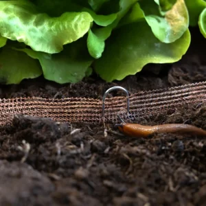 barriere-anti-escargot-cuivre-roubaud-jardinerie-13008-marseille