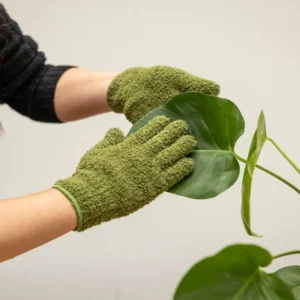 gants-anti-poussieres-plantes-vertes-jardinage-roubaud-jardinerie-13008-marseille