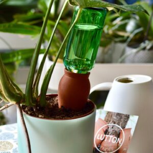 ollas-cone-a-planter-TERRE-CUITE-ROUBAUD-JARDINERIE-13008-MARSEILLE