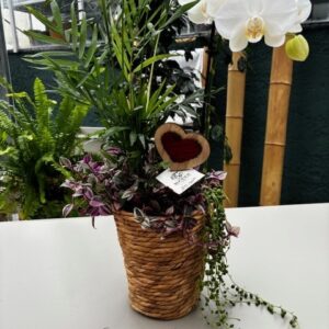 Compo Saint Valentin