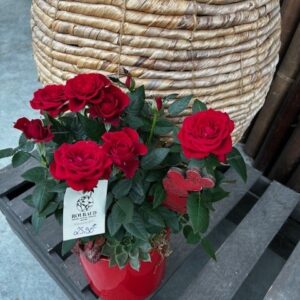 Compo « Rouge Amour »