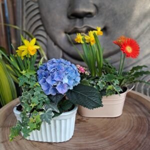 Composition « Mamie »