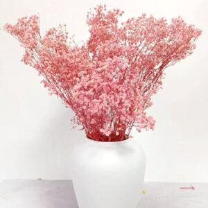 Gypso_rose-poudre-pale-_sechee-fleur-fleuriste-roubaud-13008-marseille