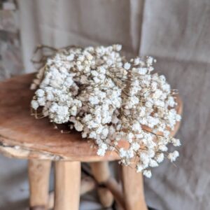 gypsophile-seche-blanc-fleuriste-roubaud-13008-marseille