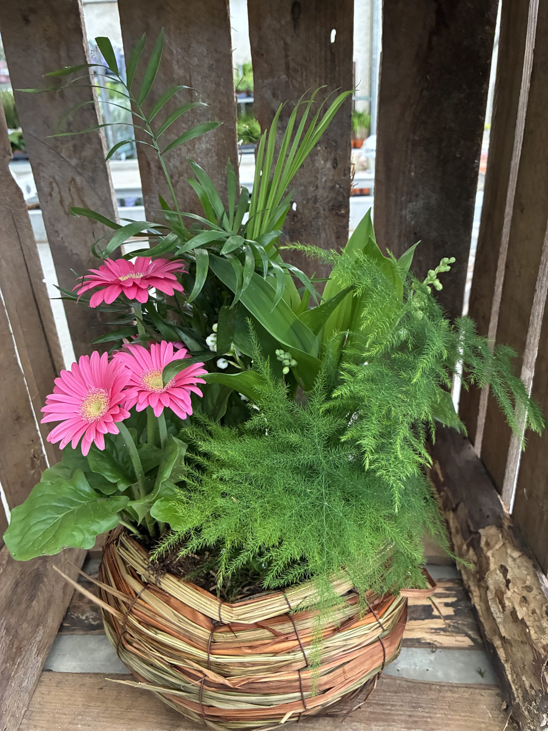 29.95E-MUGUET-COMPO-PREMIER-MAI-ROUBAUD-JARDINERIE-13008-MARSEILLE