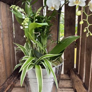 39.95E-MUGUET-COMPO-PREMIER-MAI-ROUBAUD-JARDINERIE-13008-MARSEILLE