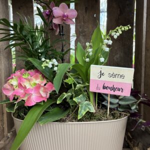 49.95E-MUGUET-COMPOSITION-ORCHIDEE-PREMIER-MAI-ROUBAUD-JARDINERIE-13008-MARSEILLE