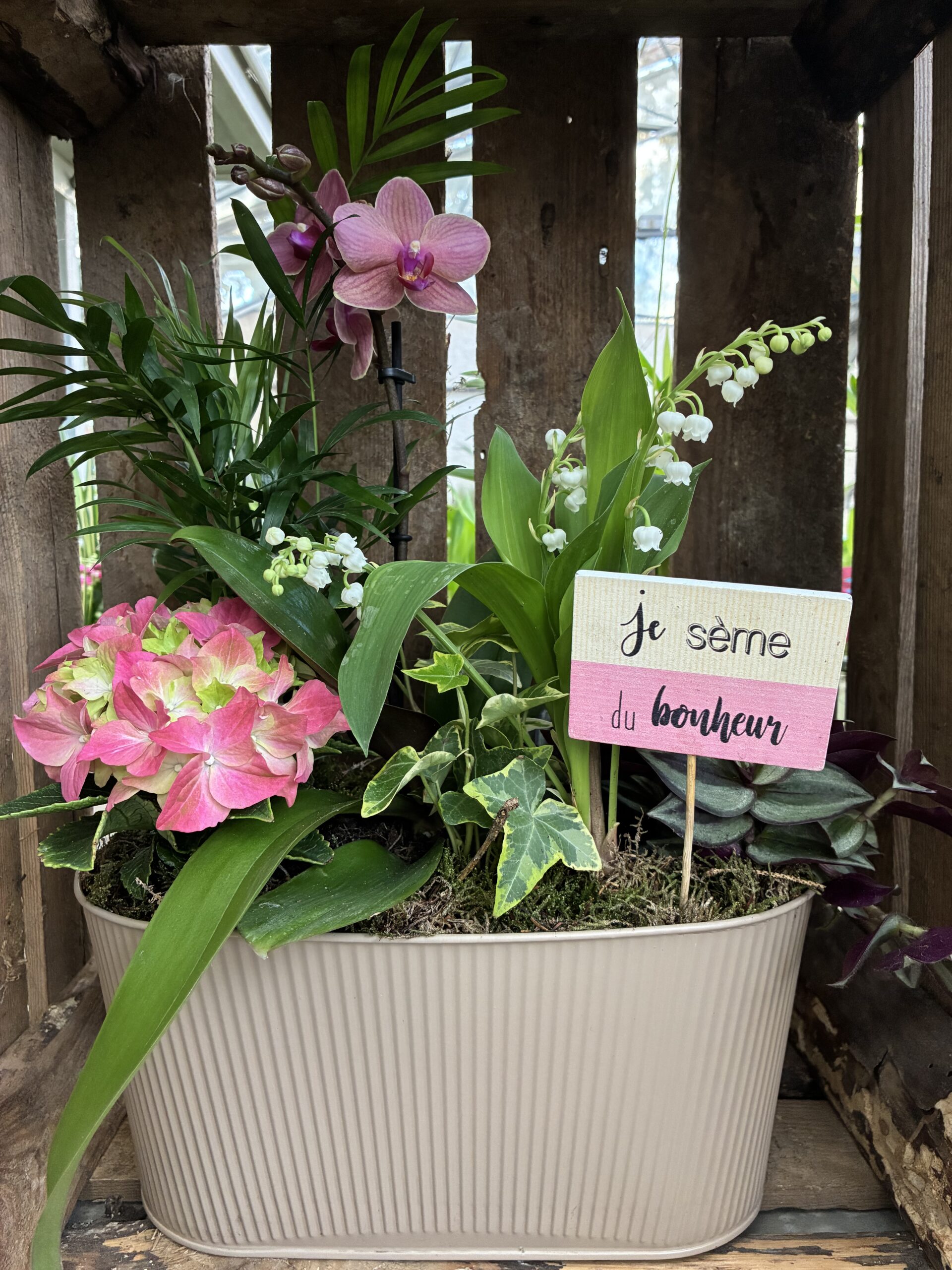 49.95E-MUGUET-COMPOSITION-ORCHIDEE-PREMIER-MAI-ROUBAUD-JARDINERIE-13008-MARSEILLE