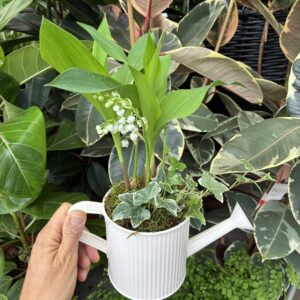 jardinerie Roubaud Composition de muguet 13008 Marseille