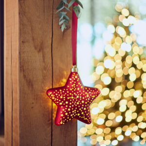 SUSPENSION-LED-ETOILE-ROUHE-NOEL-JARDINERIE-ROUBAUD-13008-MARSEILLE