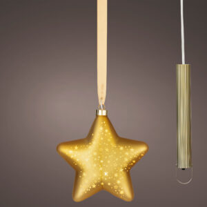 -ETOILE-LED-OR-NOEL-JARDINERIE-ROUBAUD-13008-MARSEILLE
