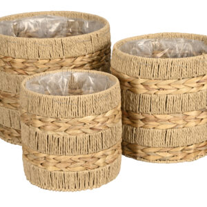 Cache Pot Tresses