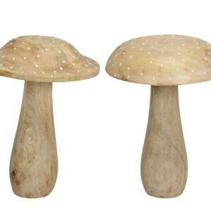 CHAMPIGNON-BOIS-DECO-AUTOMNE-ROUBAUD-JARDINERIE-13008-MARSEILLE